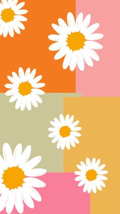 an image of white daisies on pink, orange and yellow squares with different colors