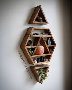 two wooden shelves with plants and rocks in them on the wall next to each other