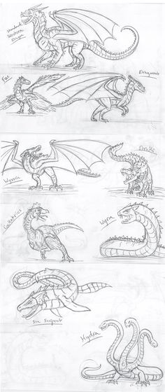 some sketches of different types of dragon