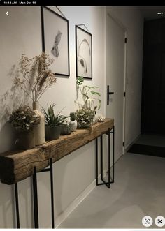 some plants are sitting on a shelf in front of a wall with pictures above it