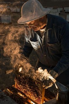 Richard Avedon Portraits, Bee Conservation, Honey Art, Hello Honey, Bee Boxes