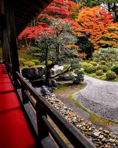 a red bench sitting next to a lush green forest