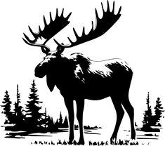 an image of a moose in the woods