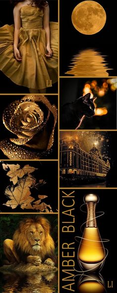 a collage of different images with gold and black colors, including an image of a woman in a dress