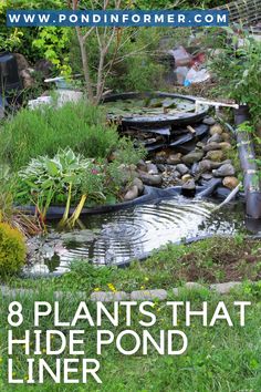 an image of a garden pond with plants and rocks in the water, text overlay reads 8 plants that hide pond liners