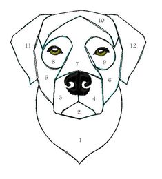 a drawing of a dog's face with numbers on the front and back side