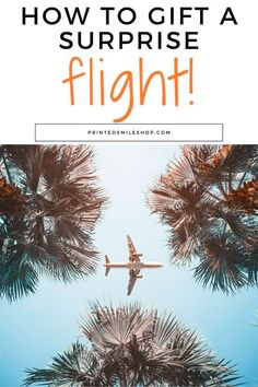 an airplane flying over palm trees with the words how to gift a surprise flight on it