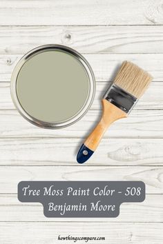 a paint can with a brush next to it and the words tree moss paint color