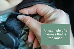 an example of a harness that is too loose to close up on someone's hand