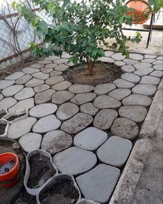 a small tree is growing in the middle of a stone patio with potted plants