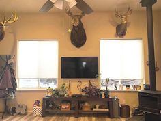 a living room with deer heads mounted on the wall, and a flat screen tv