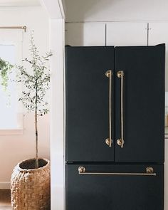 a black refrigerator in a kitchen next to a potted plant