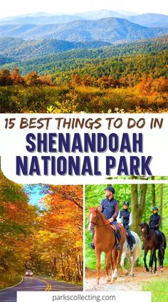 the best things to do in shenandaah national park