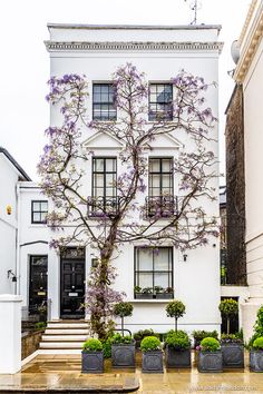 a white house with purple flowers on the tree