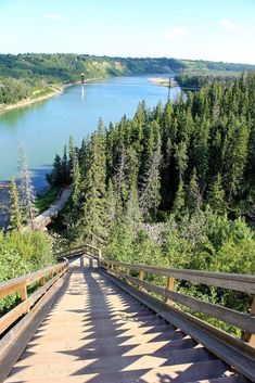 a wooden walkway leading down to a lake surrounded by pine trees and evergreen forest on the other side