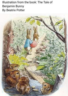 an illustration of rabbits and mice in the woods, one is looking at another mouse