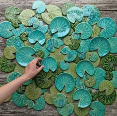 a person is pointing at some green leaves on a table with water lilies in it