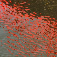 the water is reflecting red and green leaves