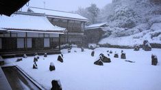 snow is falling on the ground and rocks in front of a building with many windows