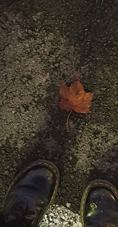 a person standing next to a leaf on the ground