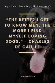 a black dog with its tongue out and the quote,'the better i get to know