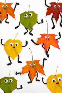 some leaves with eyes and arms are arranged in the shape of leaf faces on white background