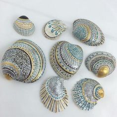 an assortment of decorative seashells on a white surface