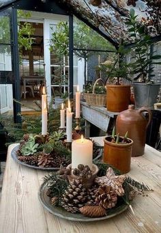 two plates with candles and pine cones on a table in a glass house surrounded by greenery