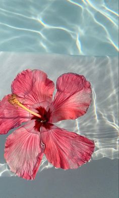 a pink flower floating on top of a body of water next to a swimming pool