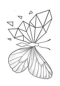 a black and white drawing of a butterfly with its wings spread out to the side