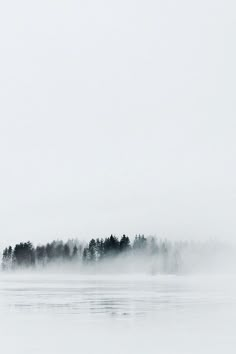 a black and white photo of trees in the fog on a lake with water below