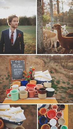 a collage of photos with llamas, cups and other items on the table