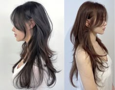 Step Layered Haircut, Heavy Layers Long Hair, Korean Hush Haircut, Hush Cut With Bangs, Haircuts For Asian Women, Korean Hush Cut, Hush Haircut, Hush Cut