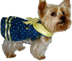 a small dog wearing a blue dress with yellow polka dots on it's chest