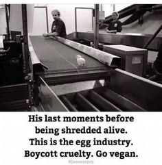 a black and white photo with an ad for botetot crucily go vegan