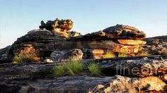 some rocks and plants are growing on top of each other in the desert, with blue sky behind them