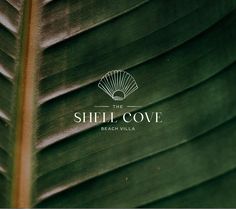 the shell cove beach villa logo on a green leaf