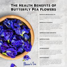 the health benefits of butterfly pea flowers in a wooden bowl with information about their uses