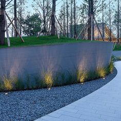 a walkway in the middle of a park with trees and grass on top of it