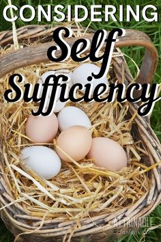 three eggs in a basket with the words considering self sufficency on it