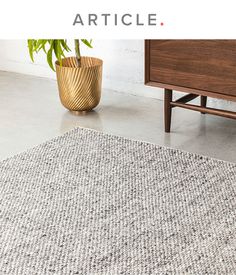 a rug is shown with the words article on it and an image of a potted plant