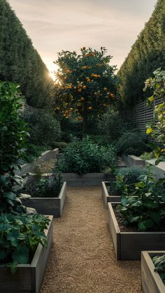 a garden filled with lots of different types of plants and trees on top of each other