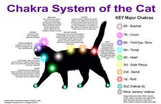 Katt Grejer, Chakra Chart, Reiki Master, Les Chakras, Healthy Ideas