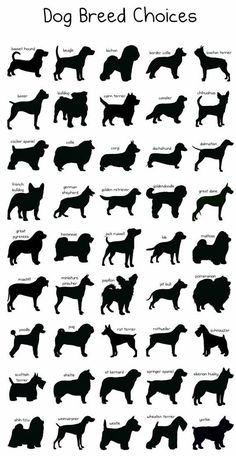 the silhouettes of dogs and their names