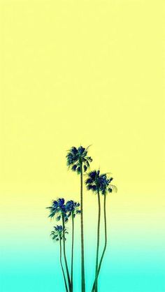 three palm trees in front of a yellow sky