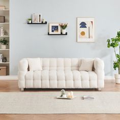 a living room with a white couch and some potted plants on the floor in front of it