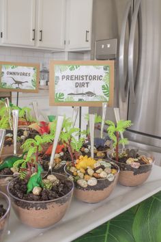 there are many potted plants on the counter in front of the refrigerator and sign