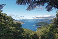 Partez à la découverte de la Nouvelle-Zélande en famille lors de vos prochaines vacances et visitez quelques uns des sites incontournables qui font la renommée et la fierté de ce magnifique archipel ! #océanie #nouvellezelande #nouvellezelandefrance #vacancesennouvellezelande #vacancesnouvellezelande #vacancesnz #voyageennouvellezelande #voyagenouvellezelande #voyagenz #voyageennz #tourismenouvellezelande #tourismenz #francaisennouvellezelande #françaisennz #locationdevacances New Zealand North Island, New Zealand Beach, New Zealand Itinerary, North Island New Zealand, Working Holiday, Australia Backpacking, Australia Vacation, New Zealand Landscape