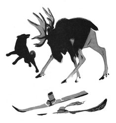 an image of a dog chasing a moose