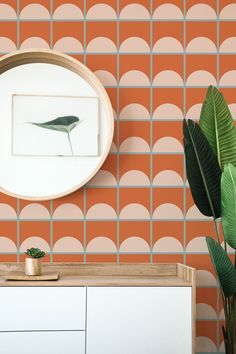 an orange and white wall with a mirror on it next to a potted plant